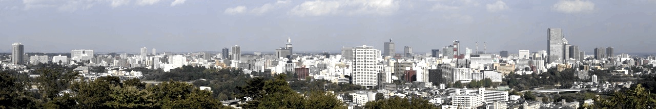 _images/sendai_panorama.jpg